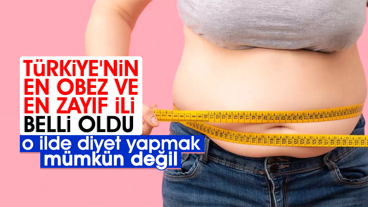 T Rkiye Nin En Obez Ve En Zay F Ili Belli Oldu Ayd N Ses Gazetesi