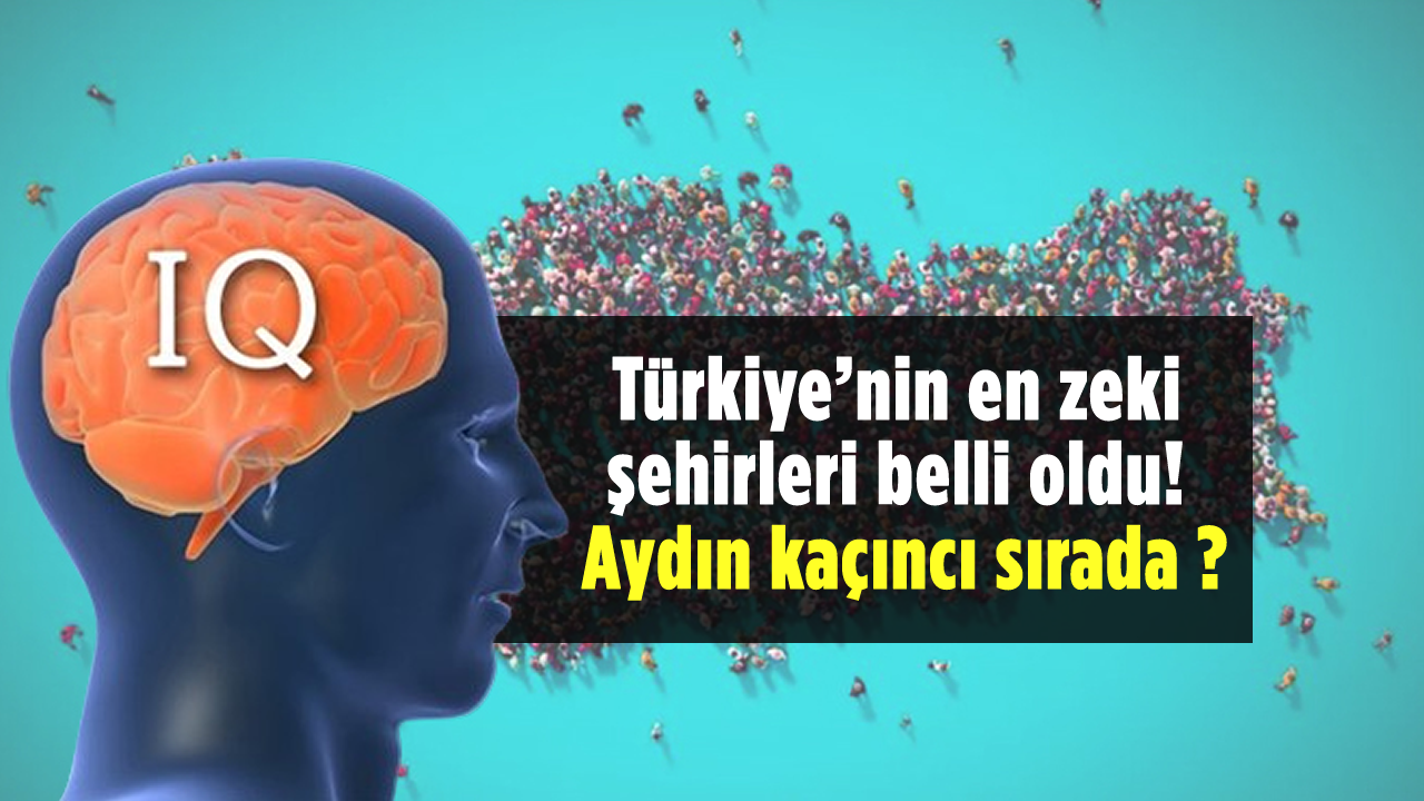 Türkiye nin en zeki şehirleri belli oldu Aydın kaçıncı sırada