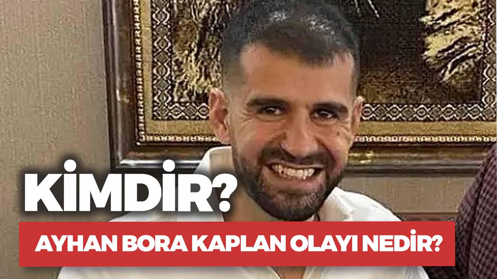 Ayhan Bora Kaplan Kimdir Olayı Nedir Ne İş Yapar Aydın Ses