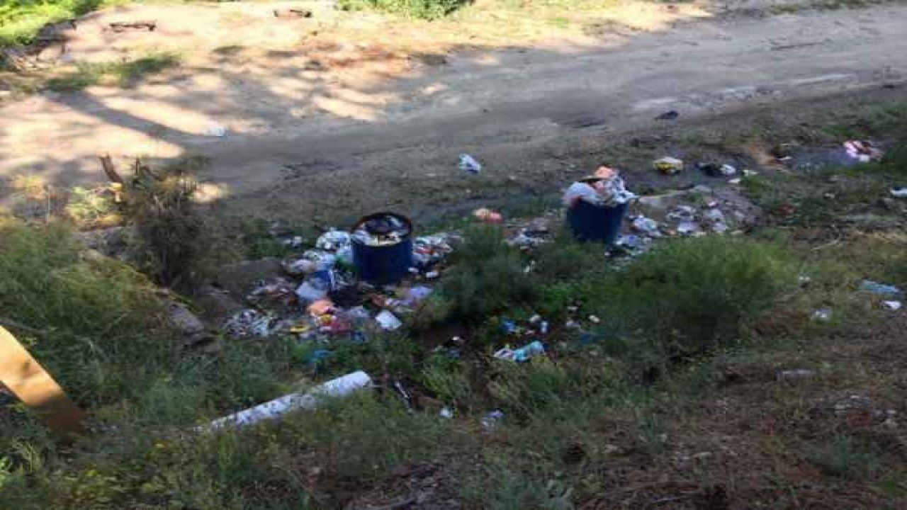 Şarlan Tabiat Parkı'nda çöp kabusu