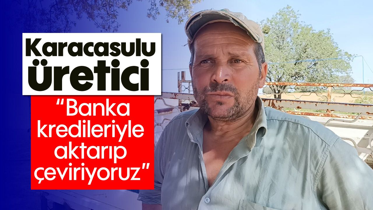 Karacasulu üretici: 'Banka kredileriyle aktarıp çeviriyoruz'