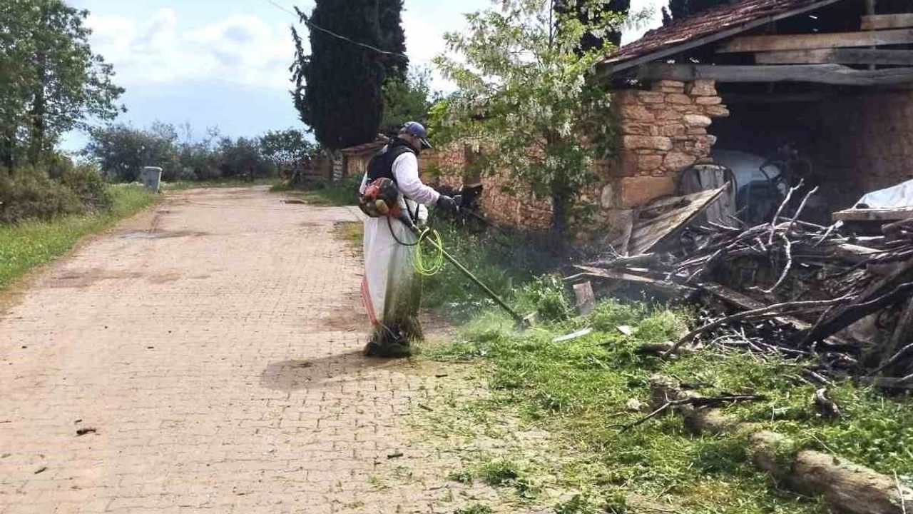 Karacasu Belediyesi’nden yeşil alanlarda yoğun mesai