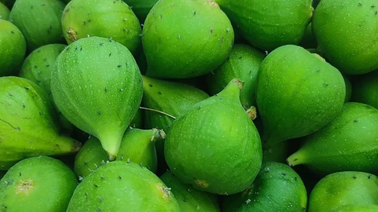 Aydın’da ilek pazarı denetimleri aralıksız sürüyor