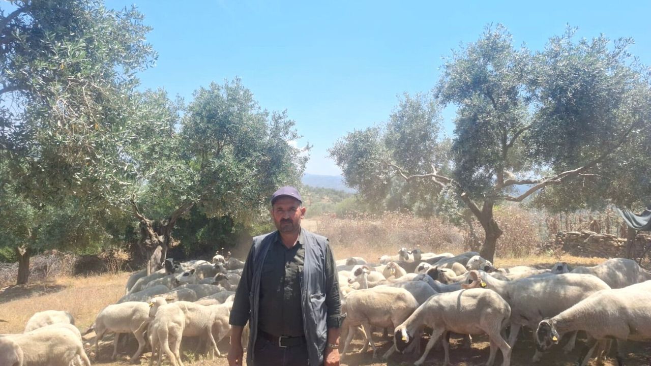 Denizli'den Aydın'a uzanan 100 yıllık yolculuk: Konar-göçerl