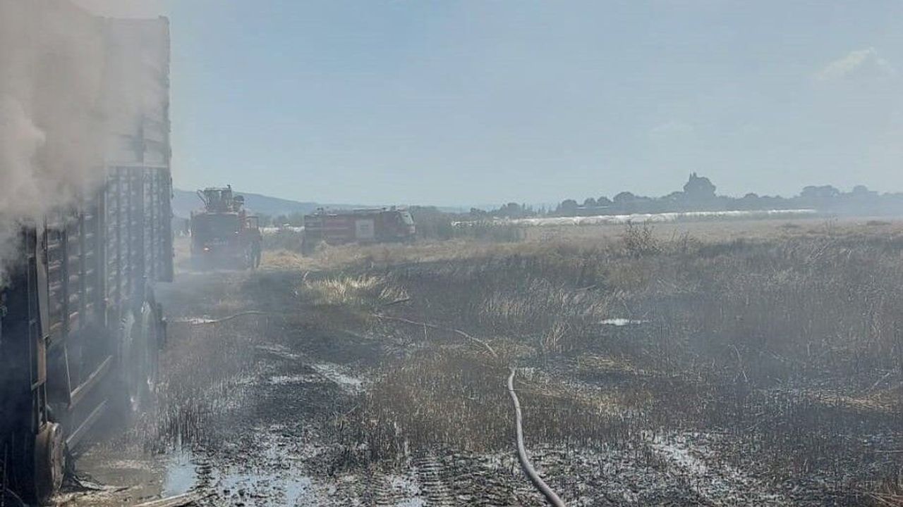 Aydın'da kamyon küle döndü, ekinler yandı