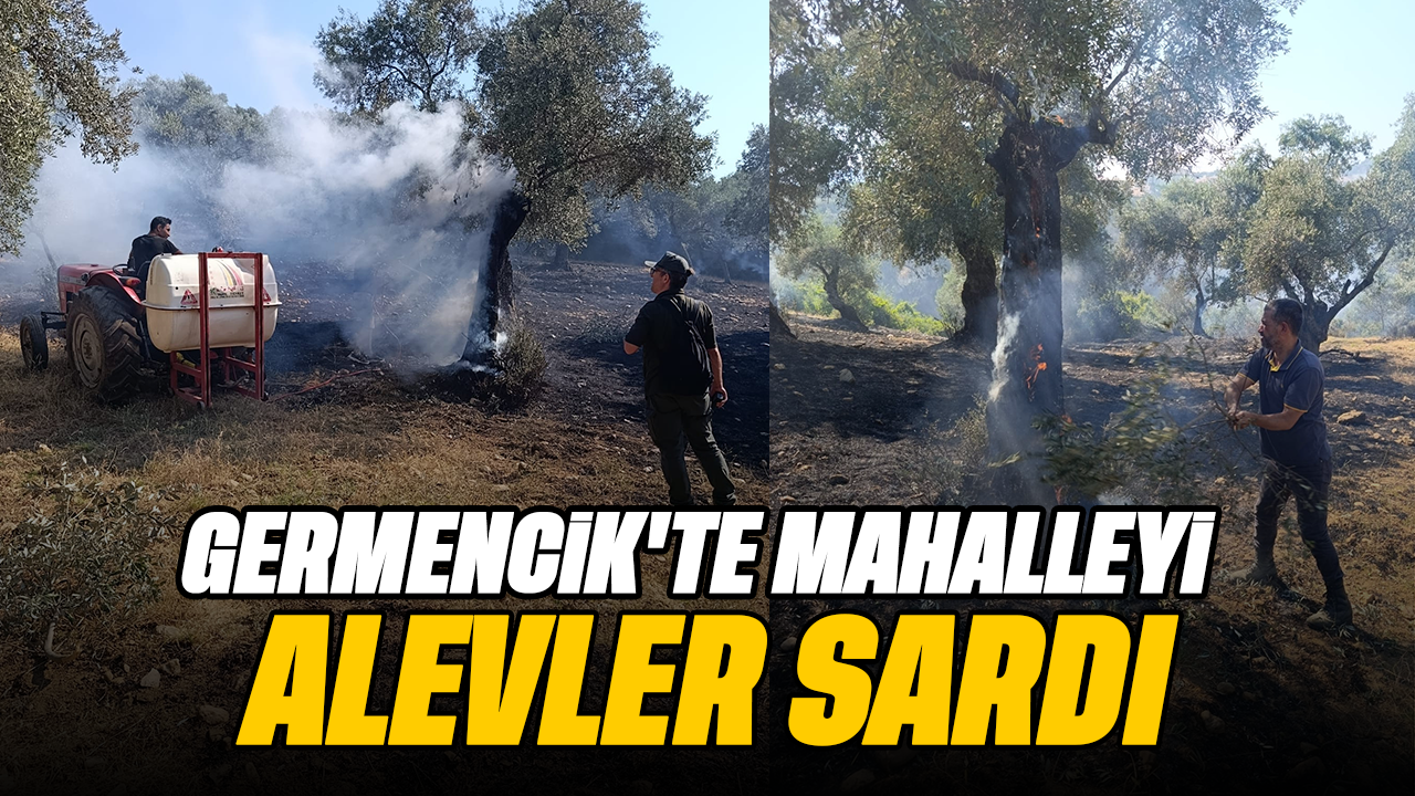 Germencik'te mahalleyi alevler sardı