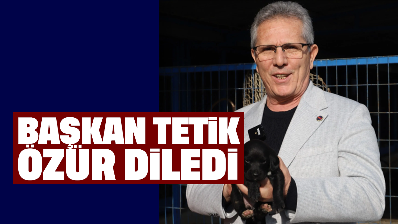 Başkan Tetik özür diledi
