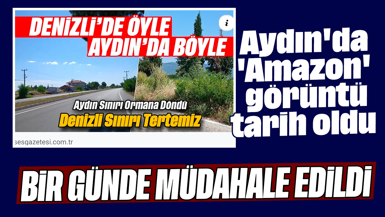 Aydın'da 'Amazon' görüntü tarih oldu: Bir günde müdahale edildi