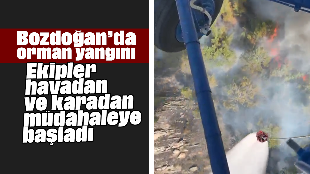 Bozdoğan’da orman yangını: Ekipler havadan ve karadan müdahaleye başladı
