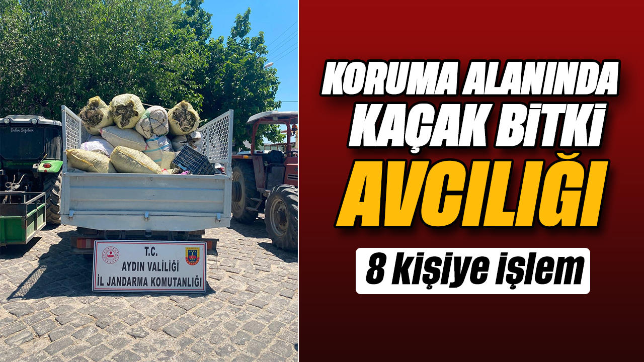 Didim'de koruma alanında kaçak bitki toplayan 8 kişiye işlem