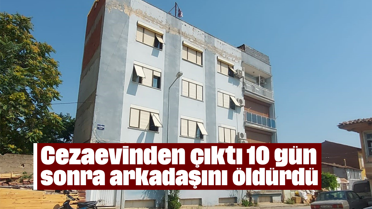 Cezaevinden çıktıktan 10 gün sonra arkadaşını öldürdü