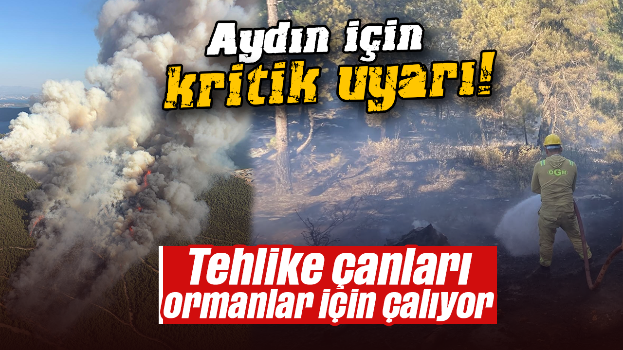 Aydın için kritik uyarı! Tehlike çanları ormanlar için çalıyor