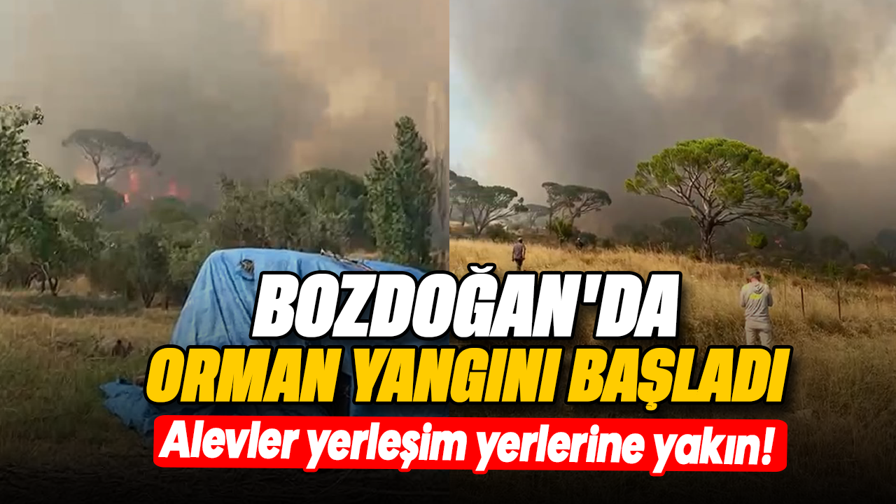 Bozdoğan’da orman yangını başladı : Alevler yerleşim yerlerine yakın!