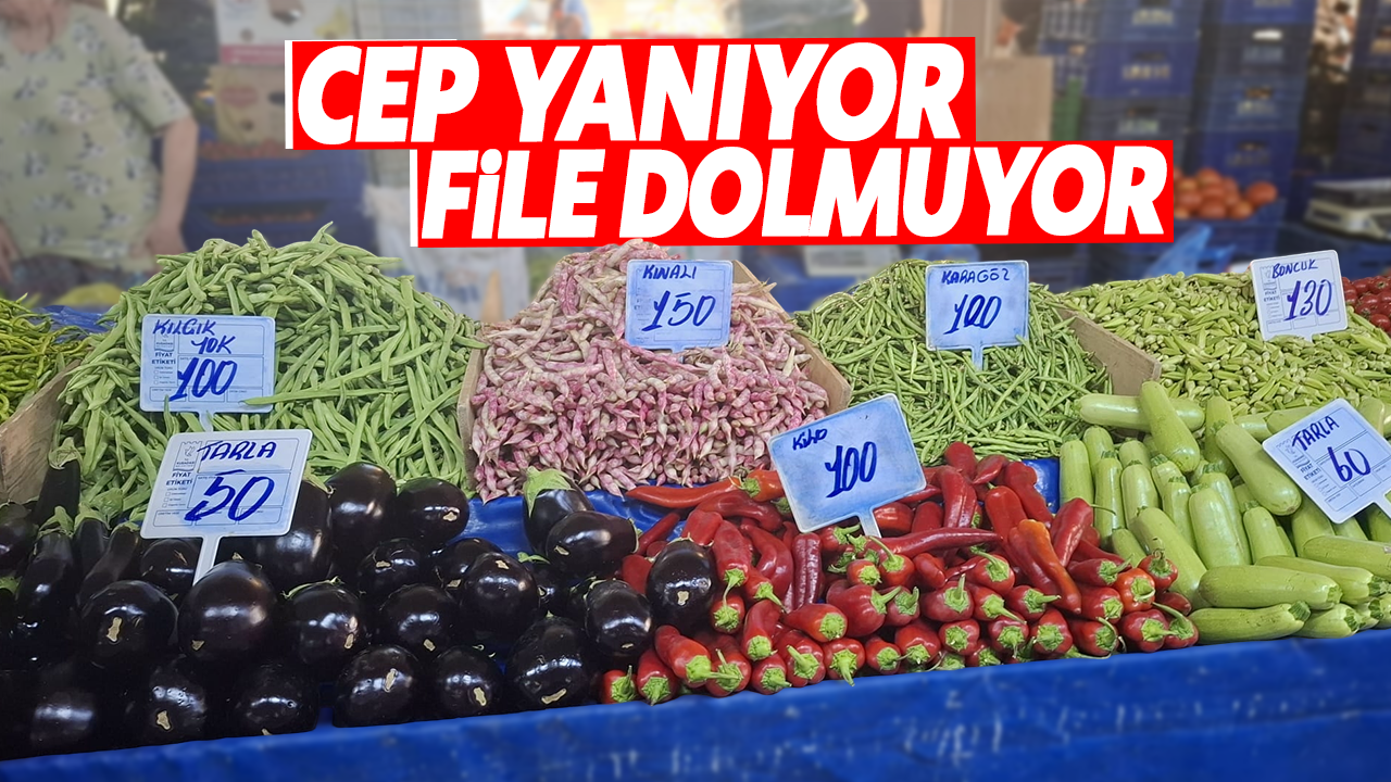Kuşadası'nda cep yanıyor, file dolmuyor