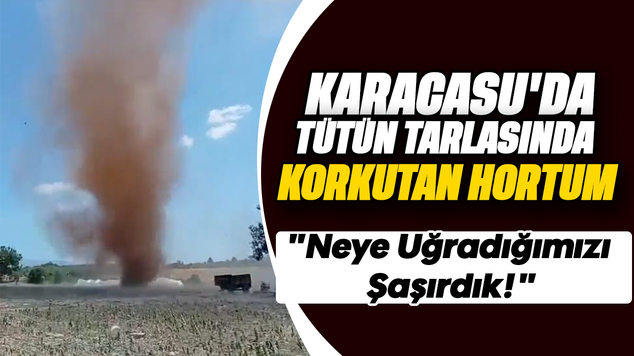 Karacasu'da tütün tarlasında korkutan hortum
