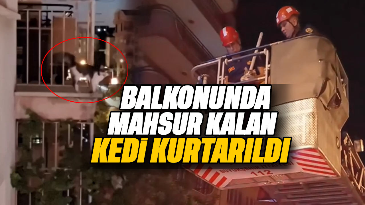 Balkonunda mahsur kalan kedi kurtarıldı