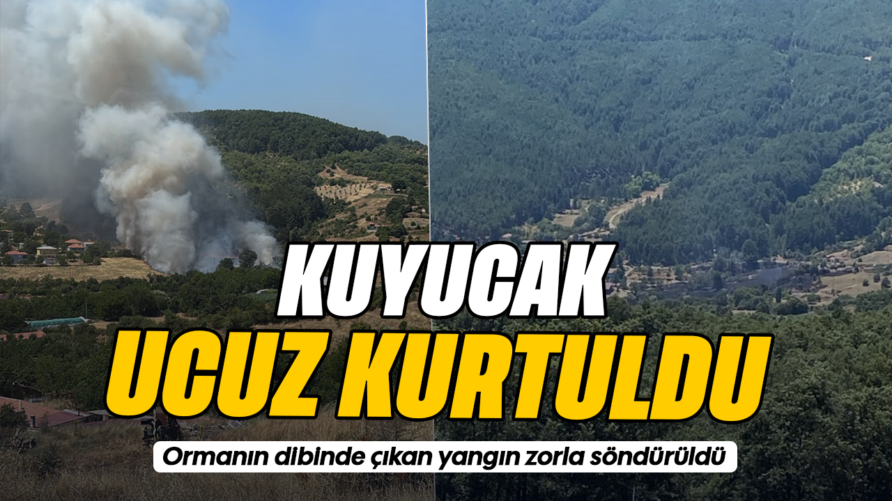 Kuyucak ucuz kurtuldu: Ormanın dibinde çıkan yangın zorla söndürüldü