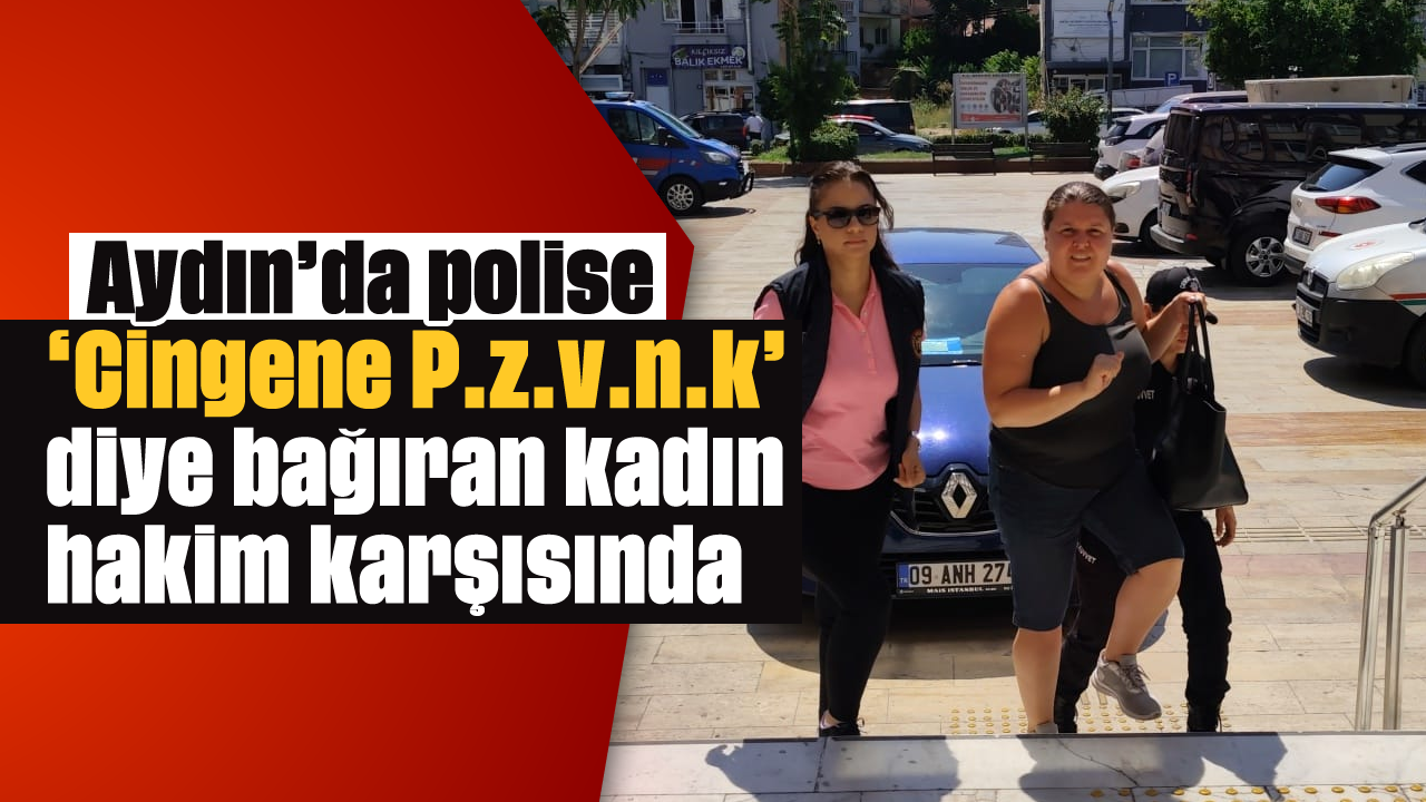 Aydın'da polise hakaret eden kadın hakim karşısında