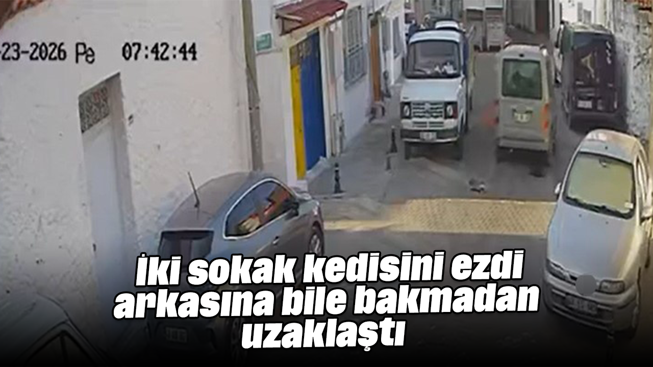 İki sokak kedisini ezdi, arkasına bile bakmadan uzaklaştı