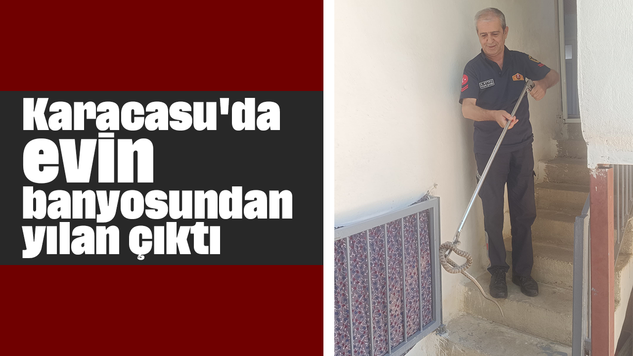 Karacasu'da evin banyosundan yılan çıktı