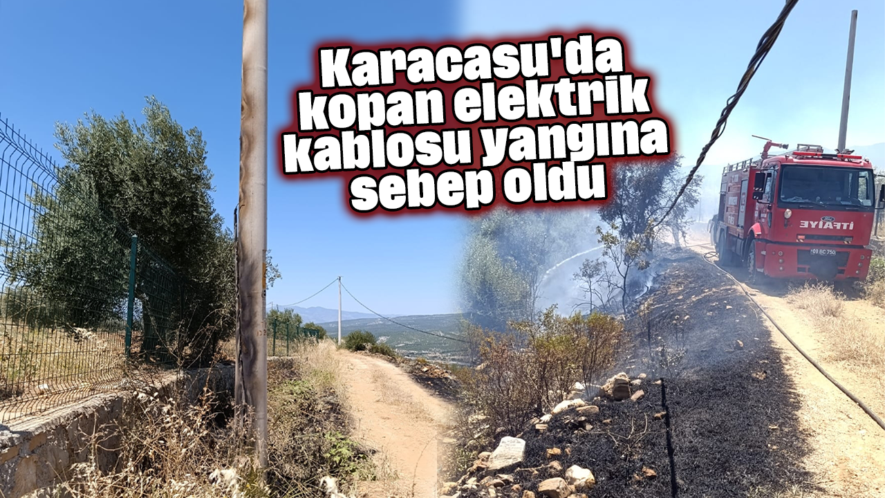 Karacasu'da kopan elektrik kablosu yangına sebep oldu
