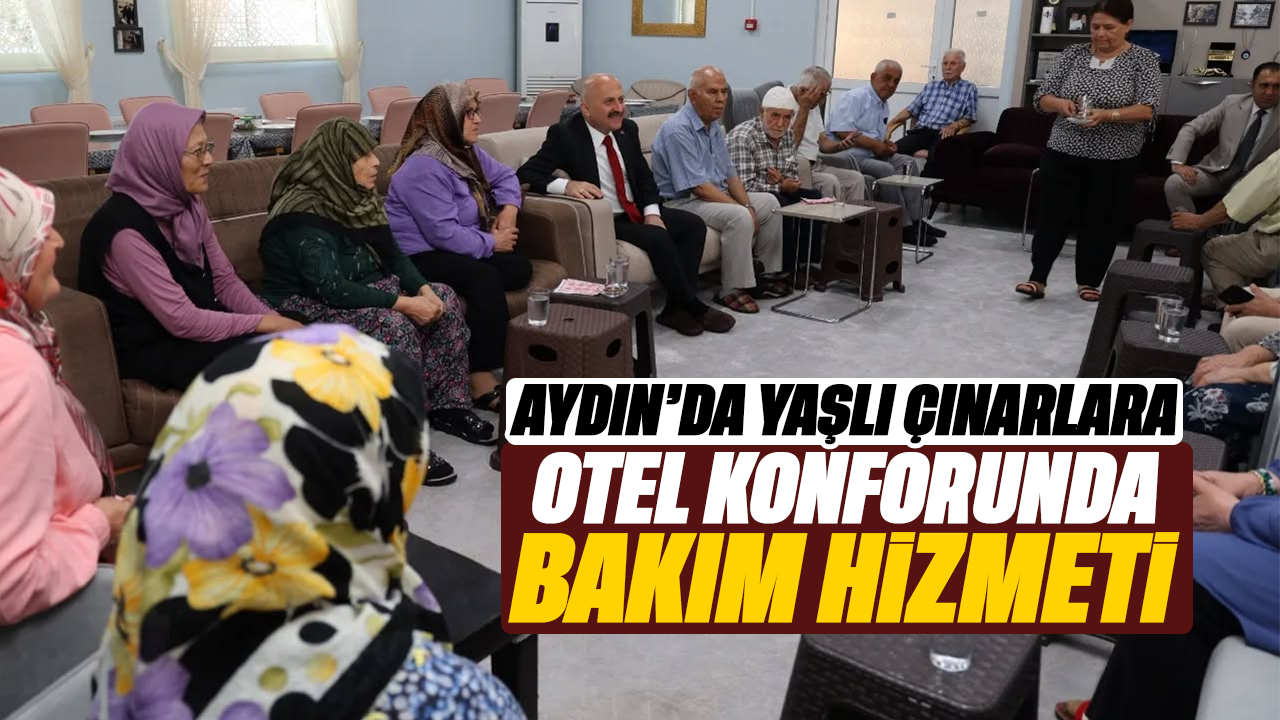 Aydın'da yaşlı çınarlara otel konforunda bakım hizmeti