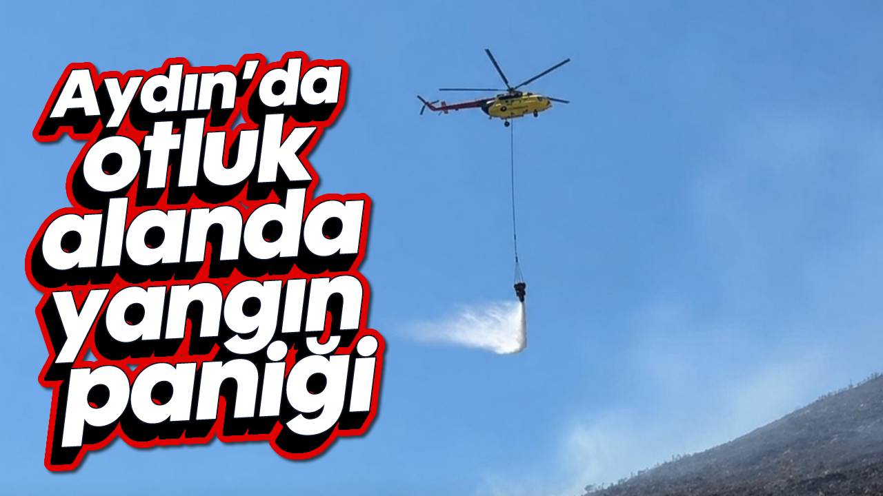 Aydın'da otluk alanda yangın paniği
