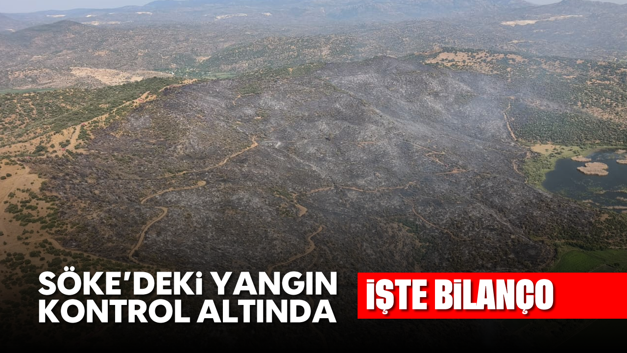 Söke'deki yangın kontrol altına alındı