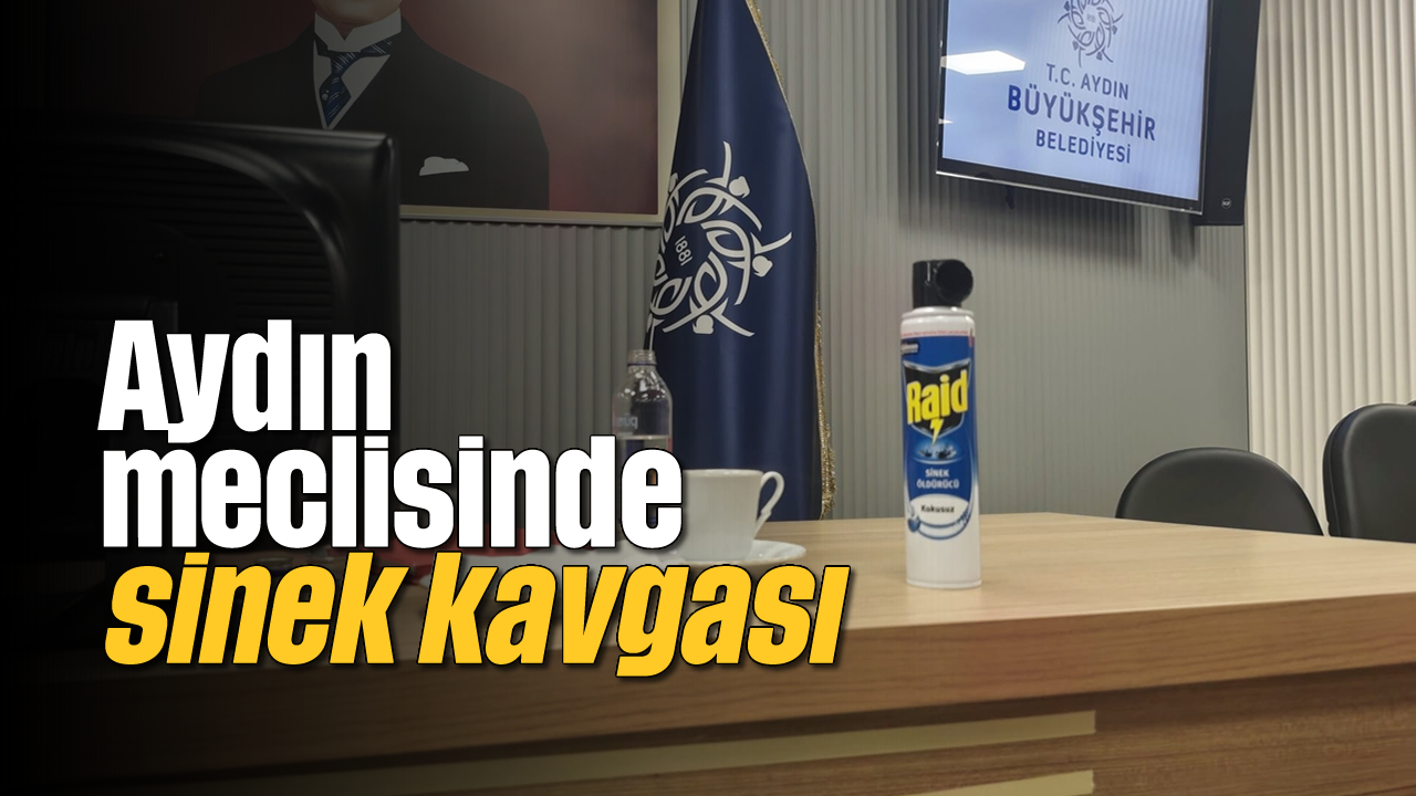 Aydın meclisinde sinek kavgası