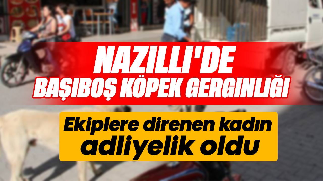 Nazilli’de başıboş köpek gerginliği: Ekiplere direnen kadın adliyelik oldu
