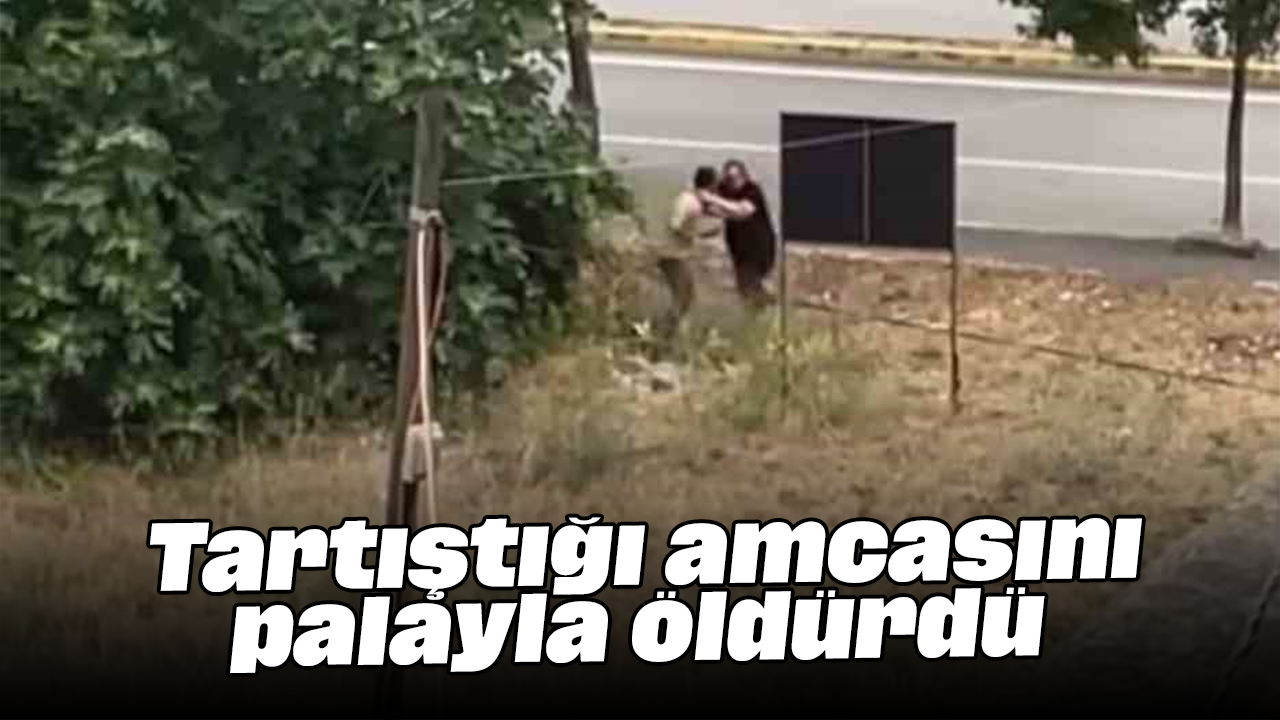 Tartıştığı amcasını palayla öldürdü