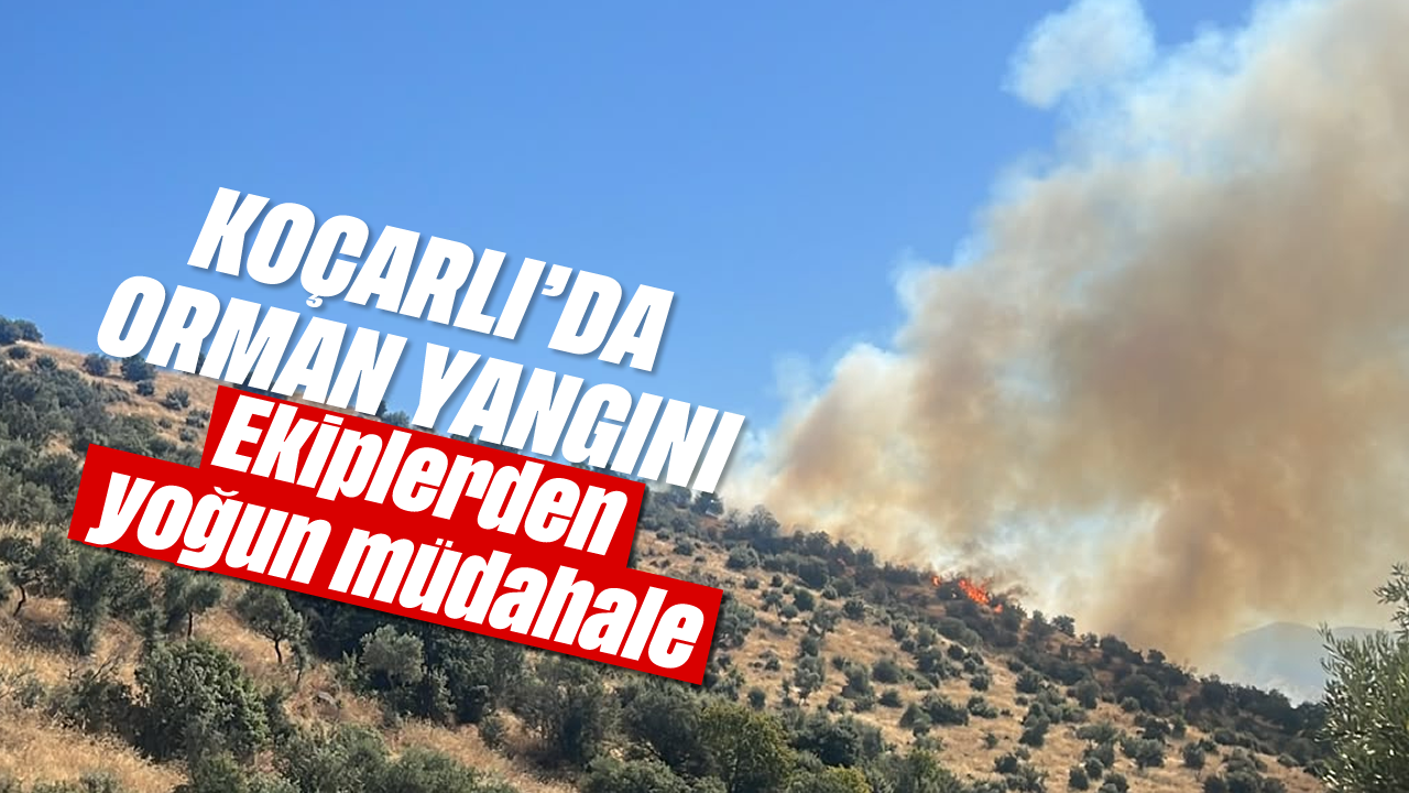 Koçarlı'da orman yangını: Ekiplerden yoğun müdahale