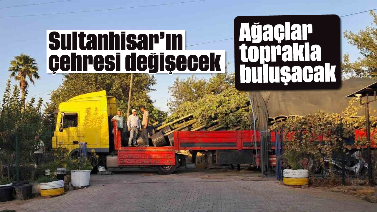 Sultanhisar’ın çehresi değişecek: Ağaçlar toprakla buluşacak