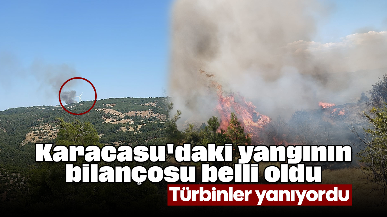 Karacasu'daki yangının bilançosu belli oldu: Türbinler yanıyordu