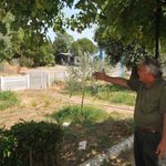 Kanseri yendi, atıl araziyi cennete çevirdi