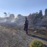 Aydın’da 60 dönümlük zeytinlik kül oldu