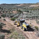 Didim Belediyesinden reform arazilerinde yol çalışması