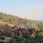 Karacasu - Bozdoğan sınırında orman yangını: 5 helikopterle müdahale edildi