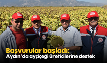 Başvurular başladı: Aydın’da ayçiçeği üreticilerine destek