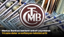 Merkez Bankası beklenti anketi yayınlandı: Yıl sonu dolar ve enflasyon tahmini arttı