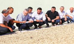 Savaş’tan Antep fıstığı işleme tesisine ziyaret