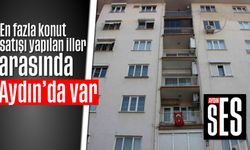 En fazla konut satışı yapılan iller arasında Aydın'da var