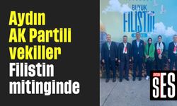 Aydın AK Partili vekiller, Filistin mitinginde