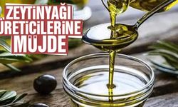 Zeytinyağı üreticilerine müjde