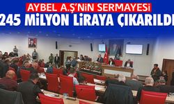 AYBEL A.Ş’nin sermayesi 245 milyon liraya çıkarıldı