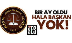 Bir ay oldu, hala başkan yok!