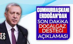 Erdoğan'dan son dakika doğalgaz desteği açıklaması