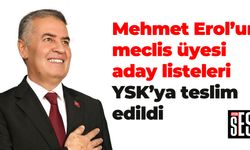 Mehmet Erol'un meclis üyesi aday listeleri YSK'ya teslim edildi