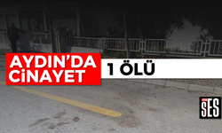Aydın'da cinayet; 1 ölü