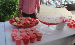 Yöre meyveleri festivalle tanıtıldı